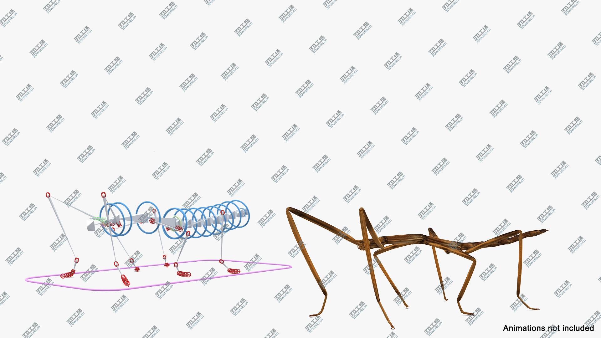 images/goods_img/2021040162/3D Stick Insect Brown Rigged model/4.jpg
